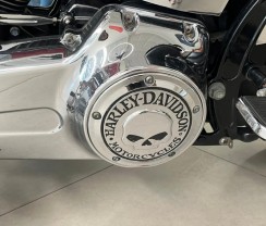 HARLEY DAVIDSON FLSTC